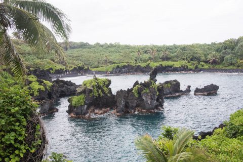 Black sand beach, Maui