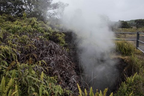 Steam vents, Kilauea Crater, Big Island