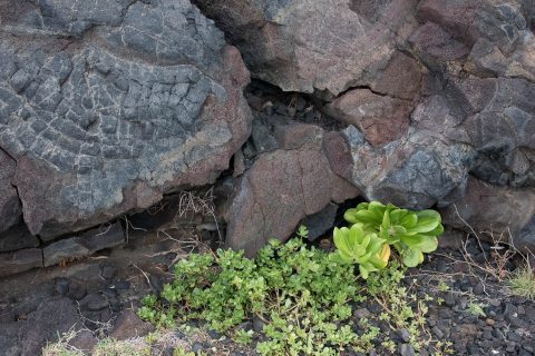 Lava patterns, Big Island