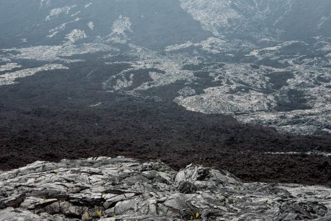 Lava landscape, Big island
