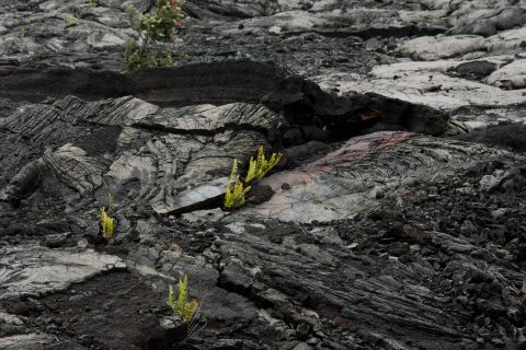 Lava landscape, Big island