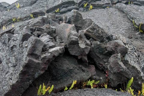 Lava landscape, Big island