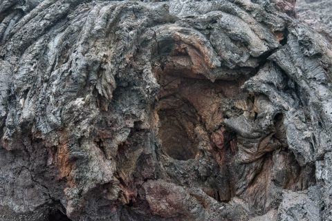 Lava landscape, Big island