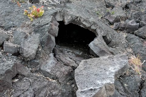 Lava landscape, Big island