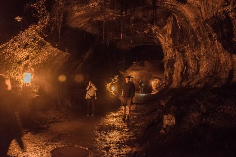 Thurston Lava tube, Big Island