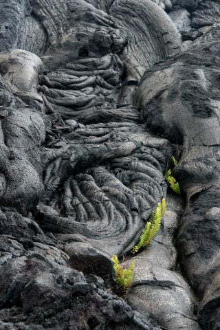 Lava patterns, Big Island