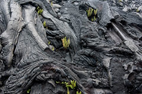 Lava patterns, Big Island