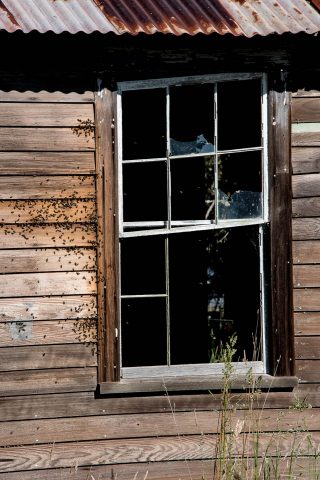 Neglected huts, Mauna Kea, Big Island