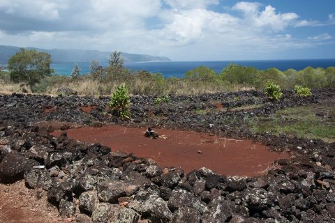 Pu'uomahuka Heiau State Monument, Oahu