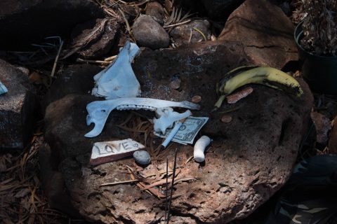 Offerings at Pu'uomahuka Heiau State Monument, Oahu