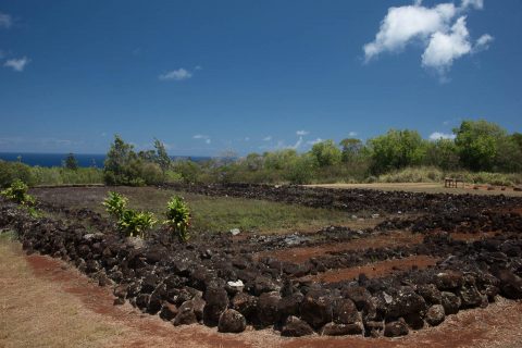 Pu'uomahuka Heiau State Monument, Oahu