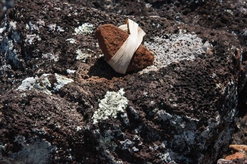 Offerings at Pu'uomahuka Heiau State Monument, Oahu