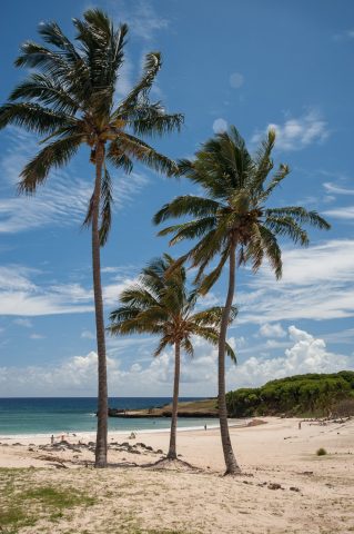 Anakena Beach, Easter Island