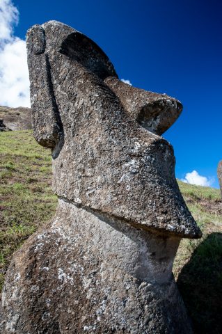 Rano Raraku quarry, Easter island - abandoned head