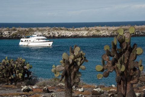 Belgua, off South Plaza