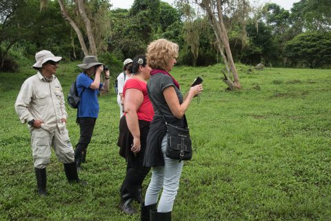 Watching the tortoises!