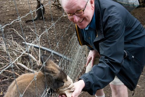 Feeding the wallabies, KI Wildlife Park