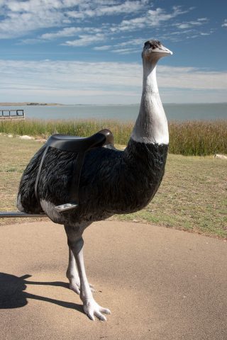 Birdman of the Coorong statue, Meningle, SA