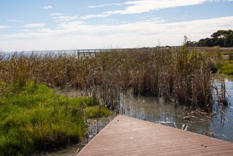 River Murray, Meningle, SA