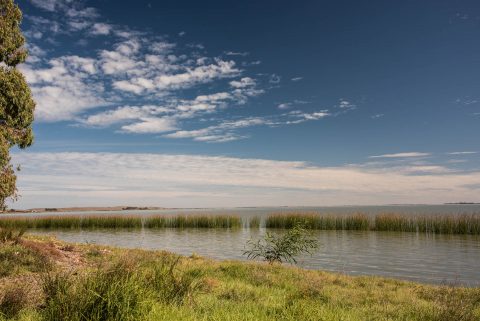 River Murray, Meningle, SA