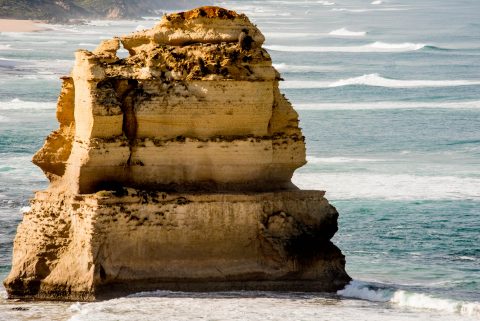 Gog near The Twelve Apostles, Great Ocean Road