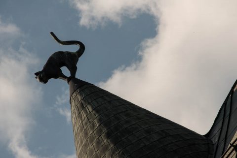 Black Cat Building, Riga