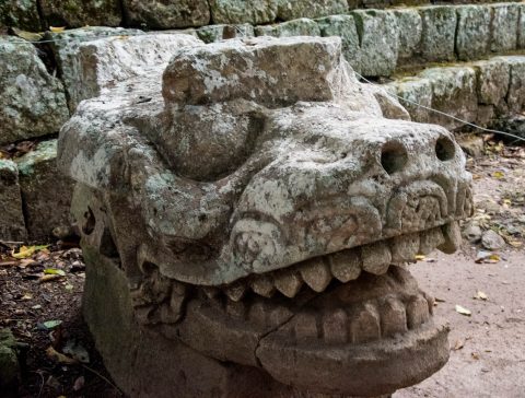 Crocodile head statue, Coopan