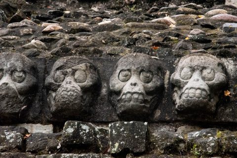 Skulls, 18th Ruler, Copan