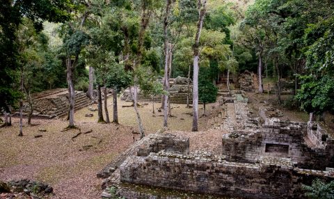 Royal Qurters, Copan