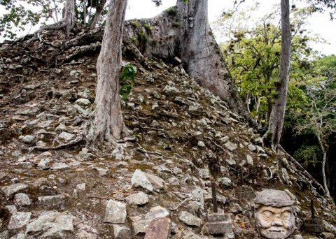 Pauahtun head with kapok tree, Copan