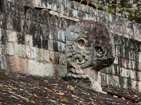 Ball Court, Copan (detail)