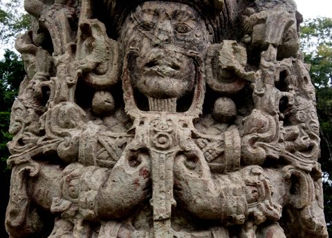 Stalea, Copan
