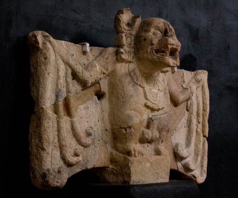Bat, Copan