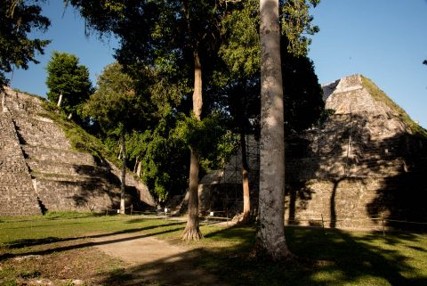 Acropolis North, Yaxha