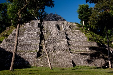 Acropolis North, Yaxha