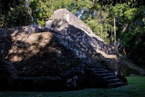 Acropolis  South, Yaxha