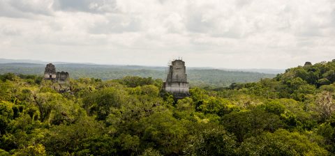 View from Temple IV. Tikal
