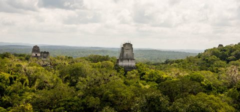 View from Temple IV. Tikal