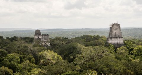 View from Temple IV. Tikal