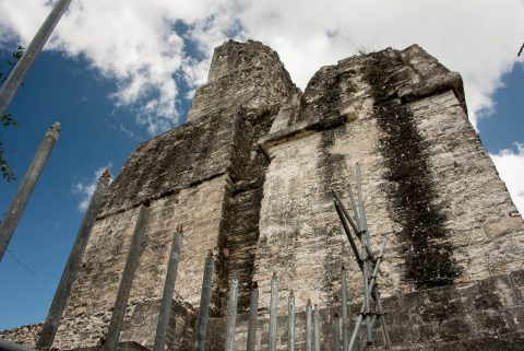 Top section, Temple IV, Tikal