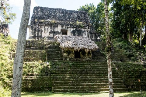 7 Temples Plaza,Tikal
