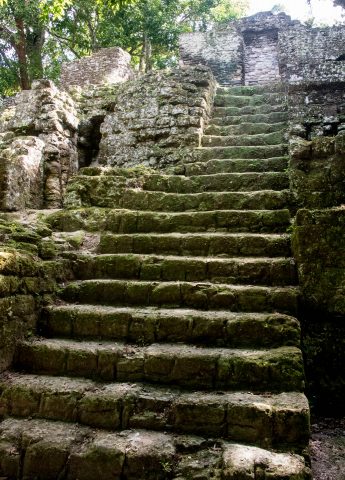 Steps at 7 Temples Plaza, Tikal