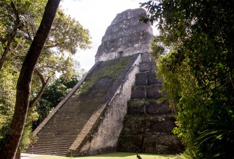 Temple V.Tikal