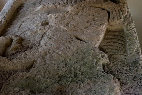 King's head on Stelea 1, Xunantunich