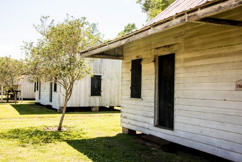 Slave Huts, Frogmore Plantation, Louisiana