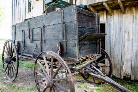 Cart for cleaned cotton, Frogmore Plantation, Louisiana