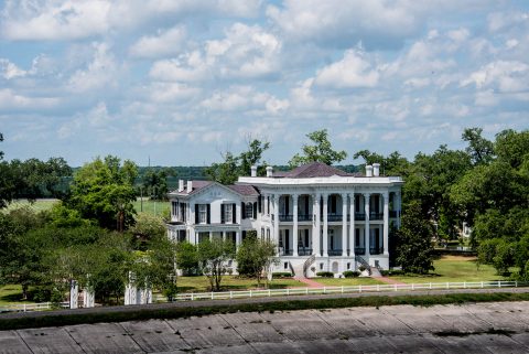 Levees at Nottoway Plantation, Louisiana