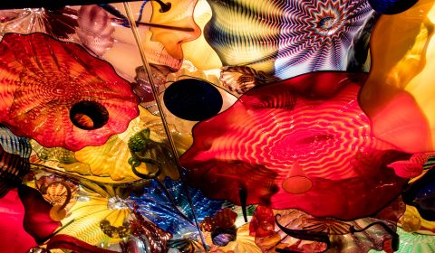 Chihuly Glass & Garden, Seattle