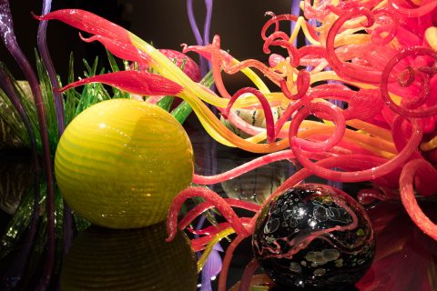 Chihuly Glass & Garden, Seattle