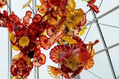 Chihuly Glass & Garden, Seattle